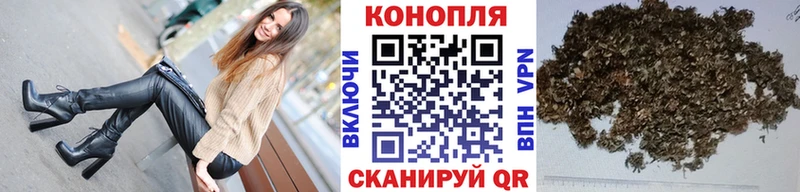 Шишки марихуана план хочу наркоту Пестово